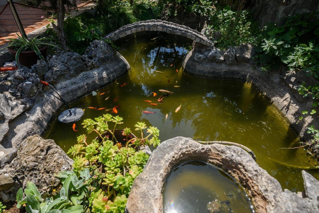 Vikeli Daire Trogir Dış mekan fotoğraf
